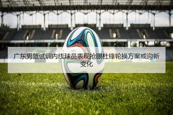 广东男篮试训内线球员表现抢眼杜锋轮换方案或迎新变化